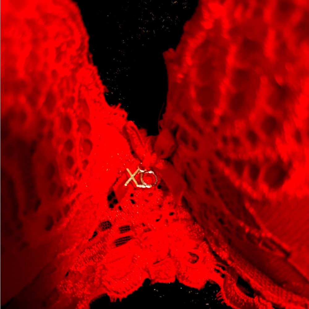 XOXO lace red bra